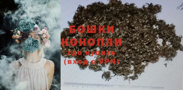 мдпв Новозыбков