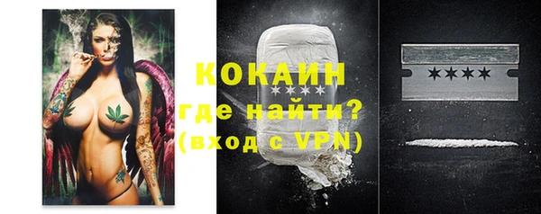 мдпв Новозыбков