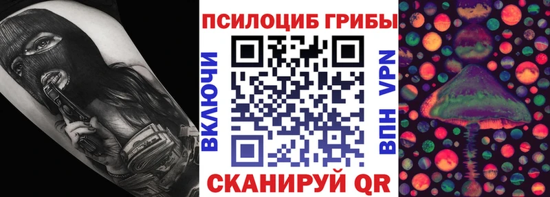 Галлюциногенные грибы Psilocybe  Струнино 